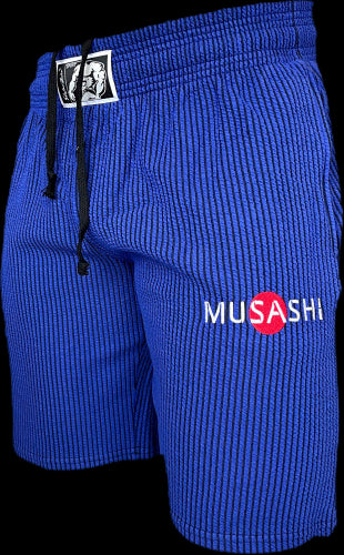 Спортни къси панталони - Сини райе / Training Shorts - Blue - L