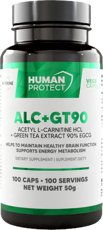 ALC + GT90 | Acetyl L-Carnitine &amp; Green Tea Extract with 90% EGCG - 