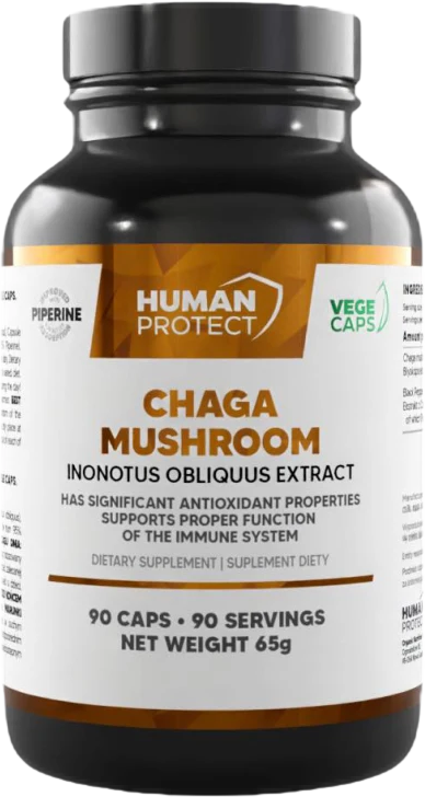 Chaga Mushroom 600 mg - 