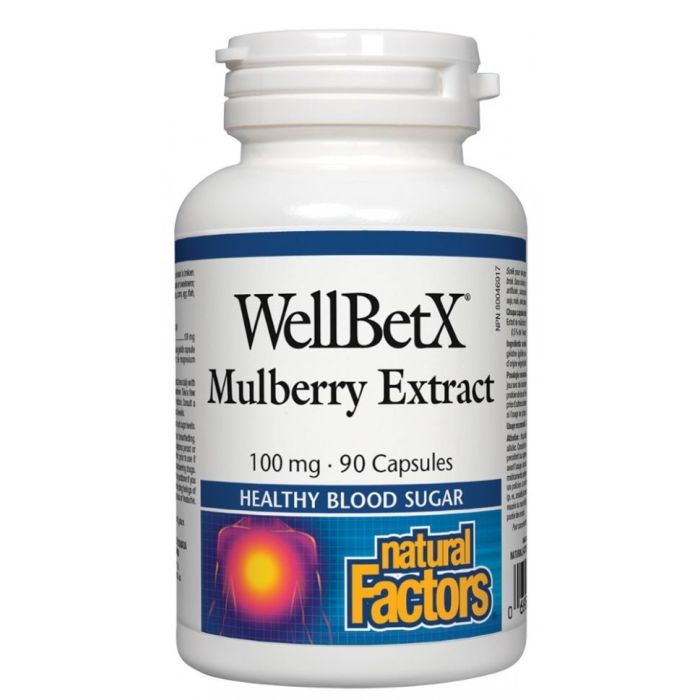 Natural Factors WellBetX Mulberry Extract Бяла черница при диабет и висок холестерол 100 мг х 90 капсули