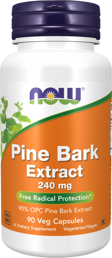 Pine Bark Extract 240 mg - BadiZdrav.BG