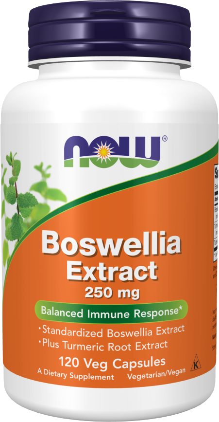 Boswellia Extract 250 mg - 