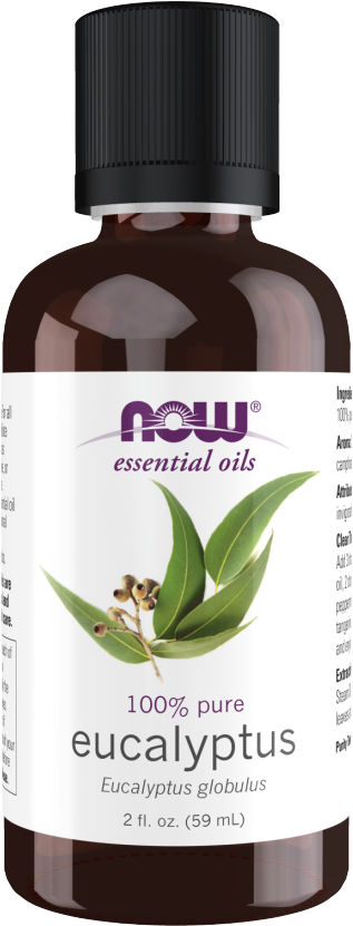 Eucalyptus Oil | 100% Pure Eucalyptus Globulus - 