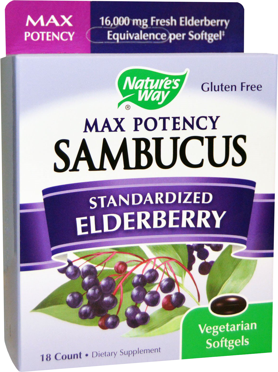 Sambucus Max Potency 250 mg - BadiZdrav.BG