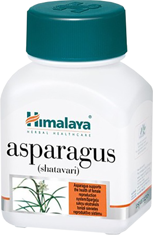 Asparagus - Shatavari / Аспарагус - Шаватари - 