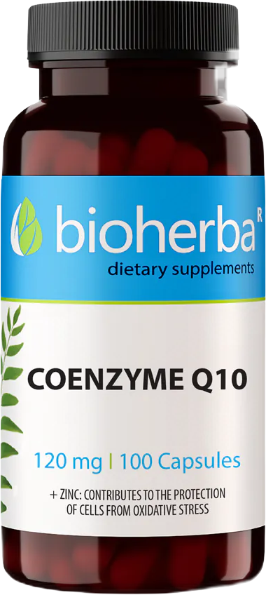 CoQ10 120 mg - 