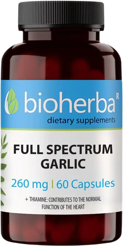 Full Spectrum Garlic 260 mg
