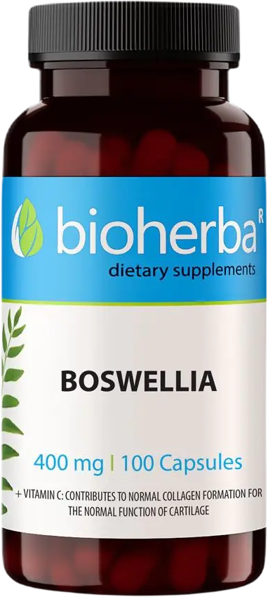 Boswellia 400 mg - 