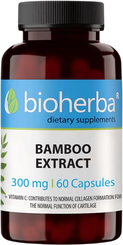 Bamboo Extract 300 mg - 