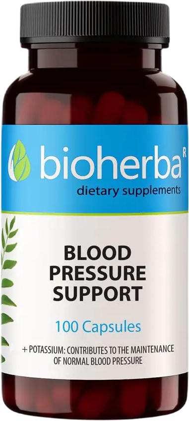 Blood Pressure Health - 
