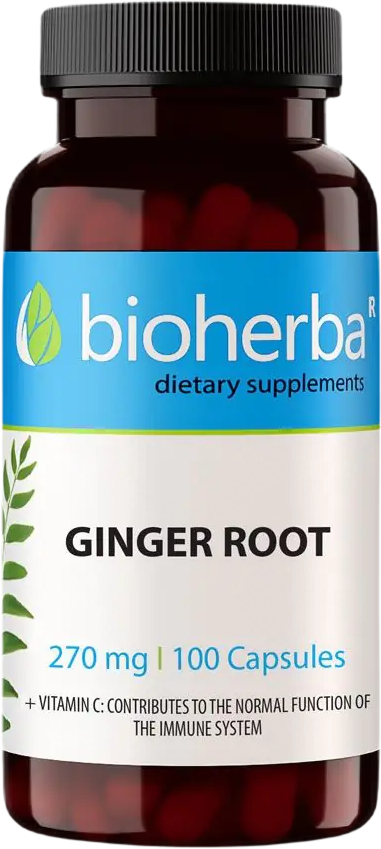 Ginger Root 270 mg