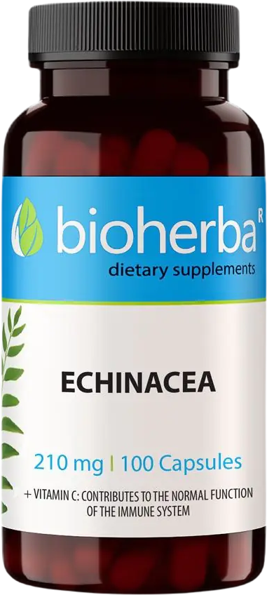 Echinacea 210 mg