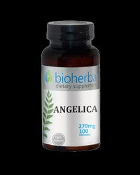 Angelica 270 mg - BadiZdrav.BG
