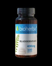 Bladderwrack 400 mg - BadiZdrav.BG
