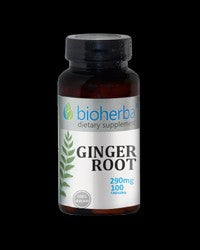 Ginger Root 290 mg - BadiZdrav.BG