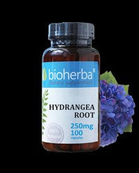Hydrangea Root 250 mg - BadiZdrav.BG