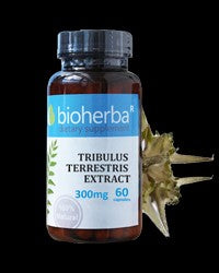 Tribulus Terrestris Extract 300 mg - BadiZdrav.BG