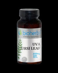 Uva Ursi Leaf 250 mg - BadiZdrav.BG