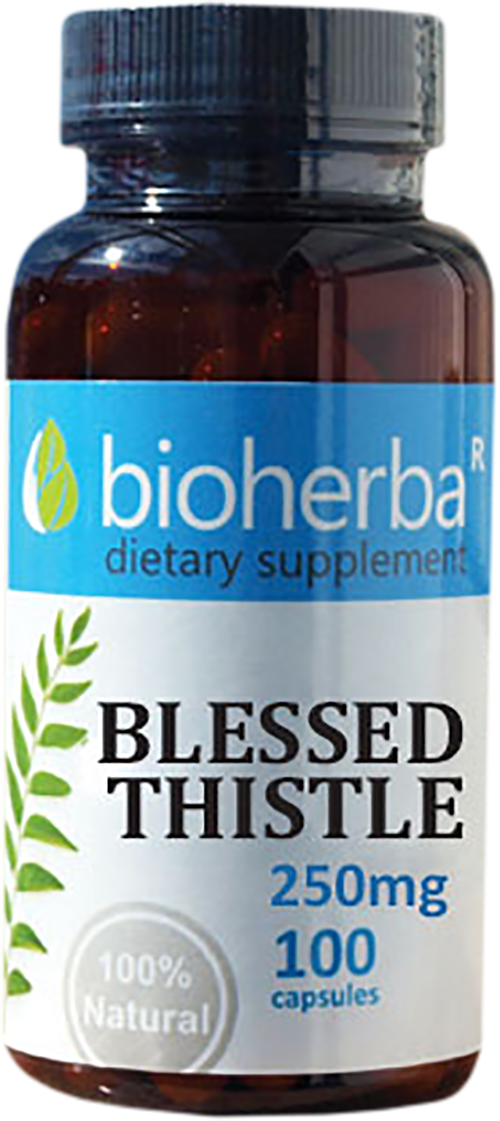 Blessed Thistle 250 mg - BadiZdrav.BG