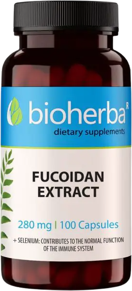 Fucoidan Extract 280 mg