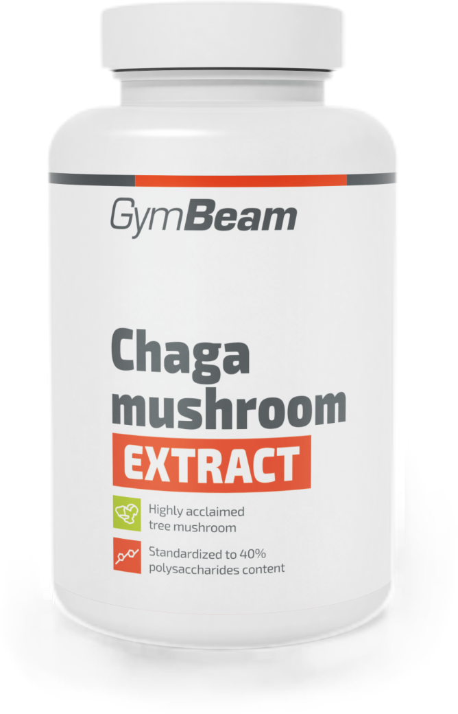 Chaga Mushroom Extract 500 mg - 