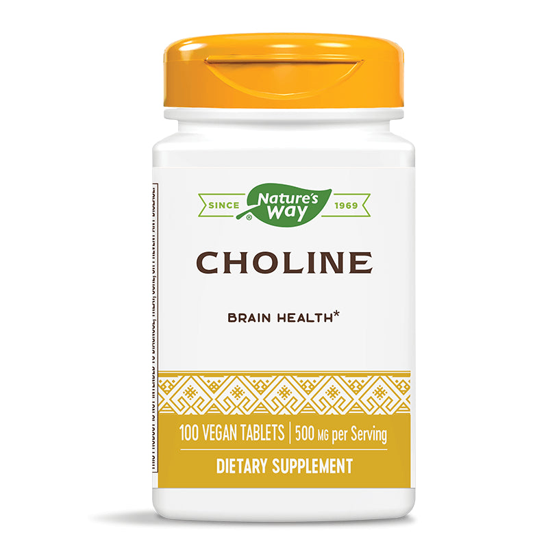Choline/ Холин 500 mg х 100 таблетки Nature’s Way - BadiZdrav.BG