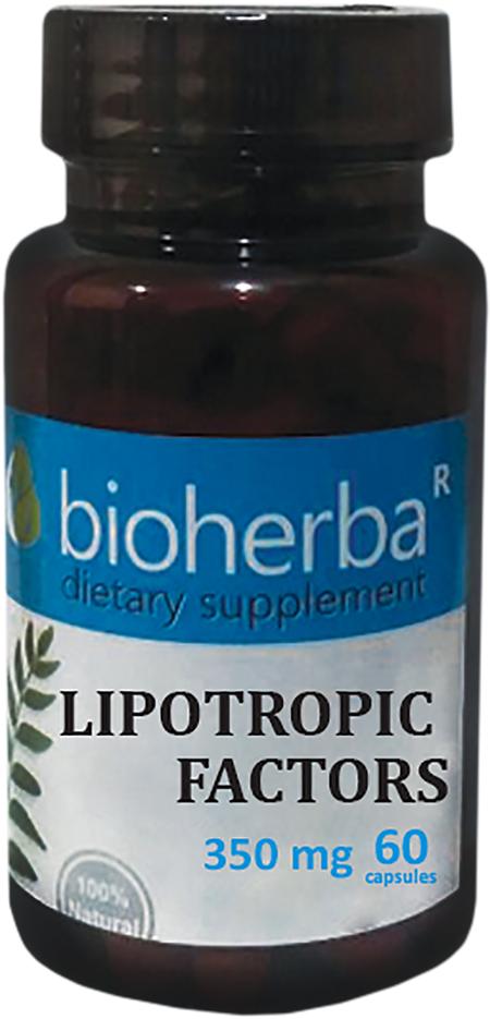 Lipotropic Factors 350 mg - BadiZdrav.BG