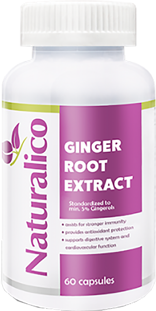Ginger Root Extract 650 mg - 