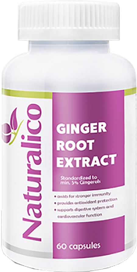 Ginger Root Extract 650 mg - 