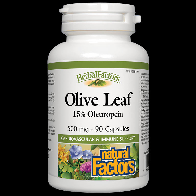 Olive Leaf / Маслина (лист) 500 mg х 90 капсули Natural Factors - BadiZdrav.BG