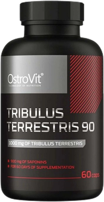 Tribulus Terrestris 90 - BadiZdrav.BG
