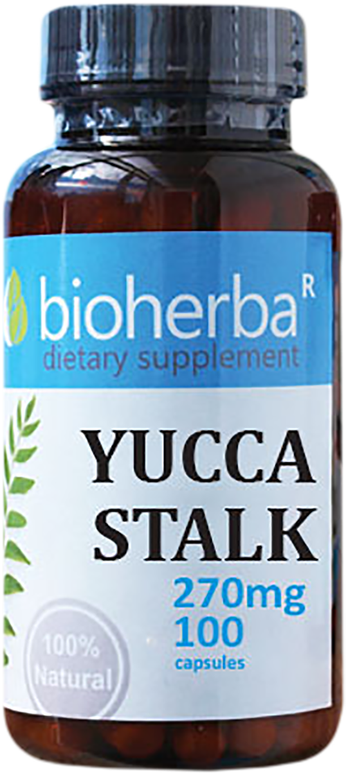 Yucca Stalk 270 mg - BadiZdrav.BG